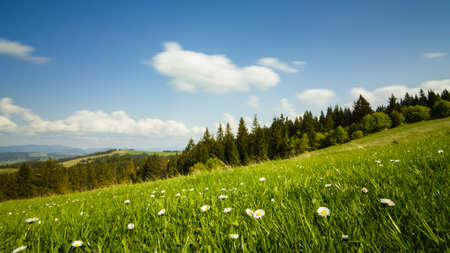 Carpathian mountains, Ukraine. Mountains during sunset. Beautiful natural landscape in the summer timeの写真素材