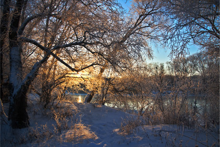 Photo the snow-covered river did not freeze in winter.The river flows in winter. Snow on the branches of trees. Reflection of snow in the river. Huge snowdrifts lie on the Bank of the stream.の写真素材
