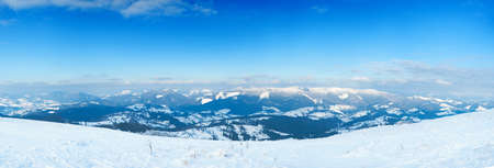 Carpathian mountains, Ukraine. Wonderful snow-covered firs against the backdrop of mountain peaks. Panoramic view of the picturesque snowy winter landscape. Gorgeous and quiet sunny day.の写真素材