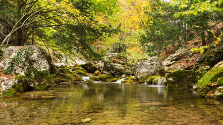Summer day forest stream water with motion blur wavesの写真素材
