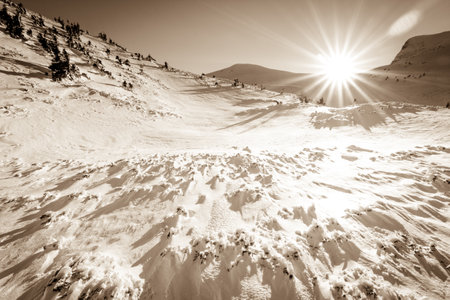 Snow covered fir trees on the background of mountain peaks. Panoramic view of the picturesque snowy winter landscape.の写真素材
