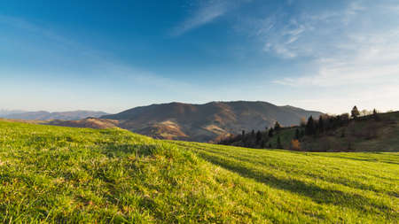Carpathian mountains, Ukraine. Mountains during sunset. Beautiful natural landscape in the summer timeの写真素材