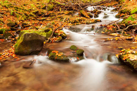 Ukpaine. Waterfall among the mossy rocks. Beautiful landscape rapids on a mountains river in autumn forest in carpathian mountains at sunset. Silver stream in National park Shypit Carpat. Pilipets.の写真素材