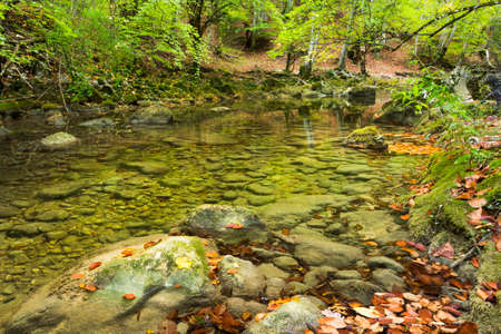 Summer day forest stream water with motion blur waves