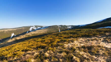 Carpathian mountains, Ukraine. Mountains during sunset. Beautiful natural landscape in the summer timeの写真素材