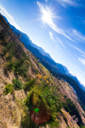 Wonderful beautiful landscape with mountains forest and meadow with trees in Carpathian mountains, Ukraine.の写真素材