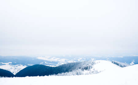 Carpathian mountains, Ukraine. Beautiful winter landscape. The forrest ist covered with snow.の写真素材