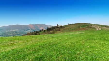 Carpathian mountains, Ukraine. Mountains during sunset. Beautiful natural landscape in the summer timeの写真素材