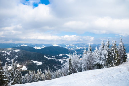 View from the top of mountain on forest in frost and low cloud.の写真素材