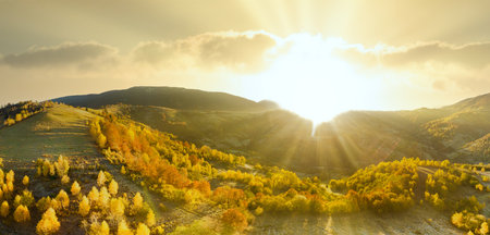 Ukraine. Sunrise shines in the Carpathians, colored fog spreads over the valleys and lowlands of the mountain range, golden prairies are very dazzlingly beautiful.の写真素材