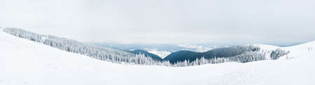 Carpathian mountains, Ukraine. Trees covered with hoarfrost and snow in winter mountains - Christmas snowy backgroundの写真素材