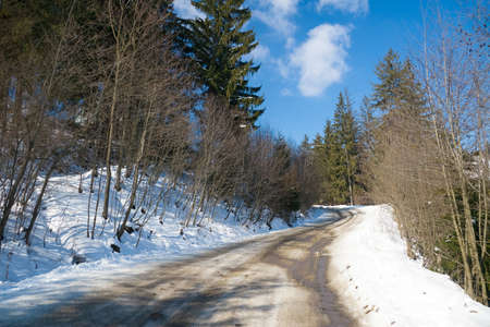 View from the top of mountain on forest in frost and low cloud.の写真素材