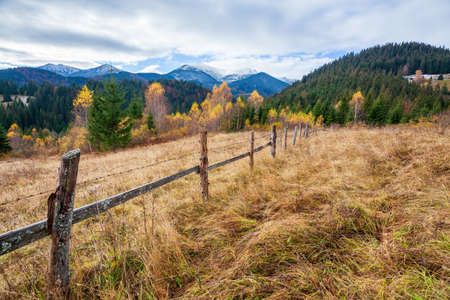 Wonderful beautiful landscape with mountains forest and meadow with trees in Carpathian mountains, Ukraine.の写真素材