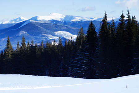 Snowy view in Carpathian Mountainsの写真素材