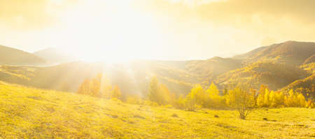 Ukraine. Sunrise shines in the Carpathians, colored fog spreads over the valleys and lowlands of the mountain range, golden prairies are very dazzlingly beautiful.の写真素材