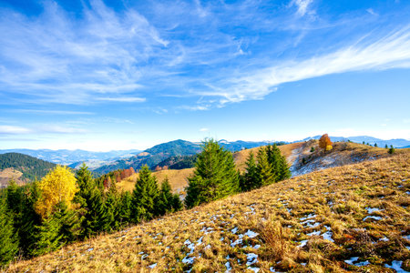 Wonderful beautiful landscape with mountains forest and meadow with trees in Carpathian mountains, Ukraine.の写真素材