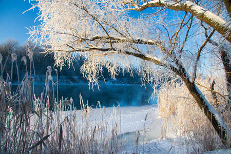 Photo the snow-covered river did not freeze in winter.The river flows in winter. Snow on the...