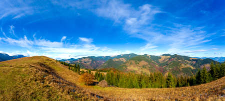 Wonderful beautiful landscape with mountains forest and meadow with trees in Carpathian mountains, Ukraine.の写真素材