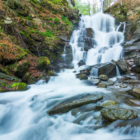 Spring river landscape. Fast stream in a mountain forest on a spring time.の写真素材