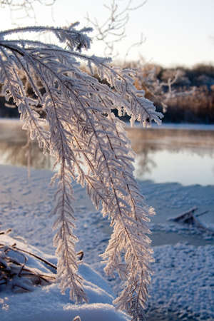 Photo the snow-covered river did not freeze in winter.The river flows in winter. Snow on the branches of trees. Reflection of snow in the river. Huge snowdrifts lie on the Bank of the stream.の写真素材