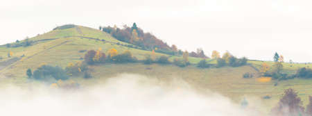 Autumn landscape with fog in the mountains. Fir forest on the hills. Carpathians, Ukraine, Europe
