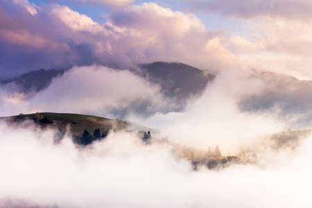Autumn landscape with fog in the mountains. Fir forest on the hills. Carpathians, Ukraine, Europe
