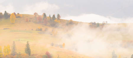 Autumn landscape with fog in the mountains. Fir forest on the hills. Carpathians, Ukraine, Europe