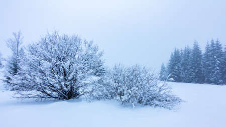 Beautiful winter landscape with snow covered trees. Winter mountains.の写真素材