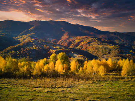 Ukraine. Sunrise shines in the Carpathians, colored fog spreads over the valleys and lowlands of the mountain range, golden prairies are very dazzlingly beautiful.の写真素材