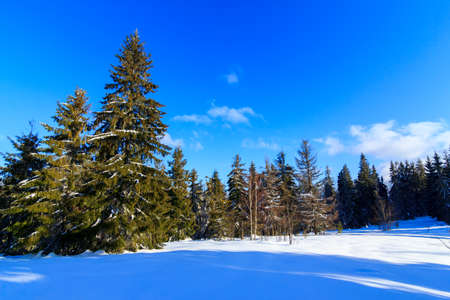 Beautiful winter landscape with snow covered trees. Winter mountains.の写真素材