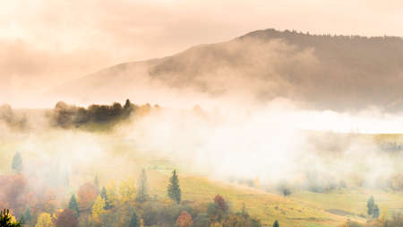Autumn landscape with fog in the mountains. Fir forest on the hills. Carpathians, Ukraine, Europeの写真素材