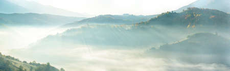 Autumn landscape with fog in the mountains. Fir forest on the hills. Carpathians, Ukraine, Europeの写真素材