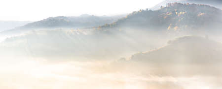 Autumn landscape with fog in the mountains. Fir forest on the hills. Carpathians, Ukraine, Europeの写真素材