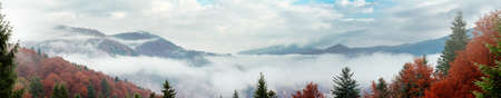 Autumn landscape with fog in the mountains. Fir forest on the hills. Carpathians, Ukraine, Europeの写真素材