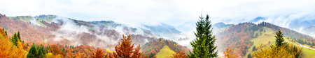Autumn landscape with fog in the mountains. Fir forest on the hills. Carpathians, Ukraine, Europeの写真素材