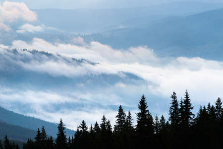 Autumn landscape with fog in the mountains. Fir forest on the hills. Carpathians, Ukraine, Europeの写真素材