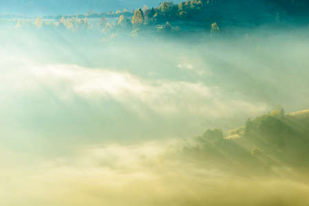 Autumn landscape with fog in the mountains. Fir forest on the hills. Carpathians, Ukraine, Europeの写真素材