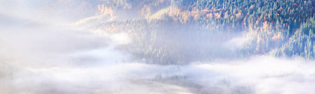 Autumn landscape with fog in the mountains. Fir forest on the hills. Carpathians, Ukraine, Europe