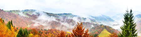 Autumn landscape with fog in the mountains. Fir forest on the hills. Carpathians, Ukraine, Europeの写真素材