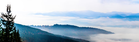 Autumn landscape with fog in the mountains. Fir forest on the hills. Carpathians, Ukraine, Europe
