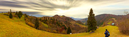 Carpathians, Ukraine. A wonderful forest glade with flowers in the cool shade of trees on a hot summer evening.の写真素材