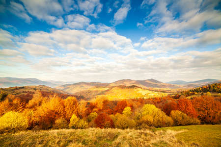 Panoramic view of Ukraine countryside, lonely windy tree, rolling hills and green fields at sunset. Carpathians, Synevyr pass.の写真素材