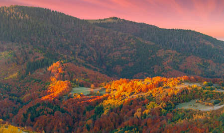 Wonderful view of the mountains that glow under the sunlight. Dramatic morning scene. Carpathian national park, Synevyr pass, Ukraine, Europe. Artistic picture. World of beauty. Warm toning effect.の写真素材
