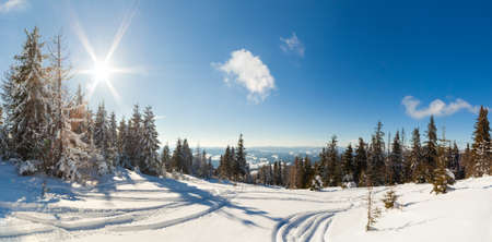 wonderfully majestic winter landscape glowing by sunlight. wintry scene. Carpathian, Ukraine, Europe. Beauty world. Happy New Yearの写真素材