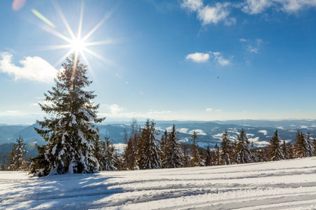 wonderfully majestic winter landscape glowing by sunlight. wintry scene. Carpathian, Ukraine, Europe. Beauty world. Happy New Yearの写真素材
