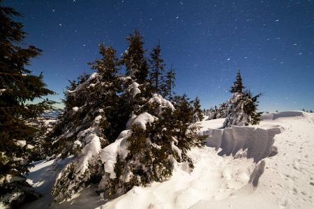 Magical winter landscape with snow covered tree. Vibrant night sky with stars and nebula and galaxy. Deep sky astrophoto.の写真素材