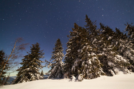 Magical winter landscape with snow covered tree. Vibrant night sky with stars and nebula and galaxy. Deep sky astrophoto.の写真素材