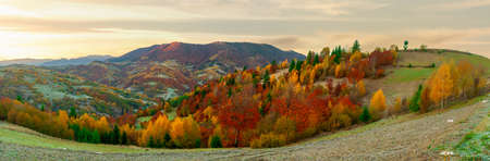 Wonderful view of the mountains that glow under the sunlight. Dramatic morning scene. Carpathian national park, Synevyr pass, Ukraine, Europe. Artistic picture. World of beauty. Warm toning effect.の写真素材