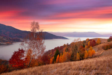 Ukraine. Warm autumn in the Carpathians. Very beautiful picturesque, beech, birch and pine forests on the slopes of the Synevyr Mountains glow with bright colors against the backdrop of sunset.の写真素材