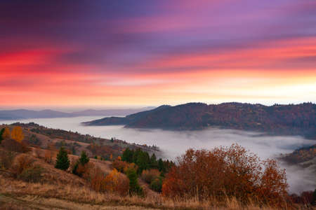 Ukraine. Warm autumn in the Carpathians. Very beautiful picturesque, beech, birch and pine forests on the slopes of the Synevyr Mountains glow with bright colors against the backdrop of sunset.の写真素材
